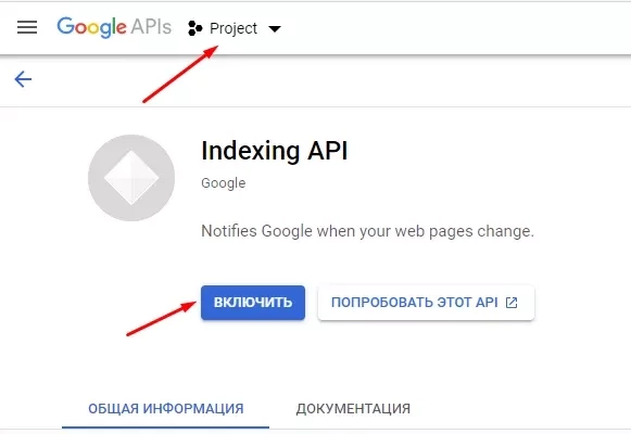 Indexing API ve projeniz için etkinleştirme