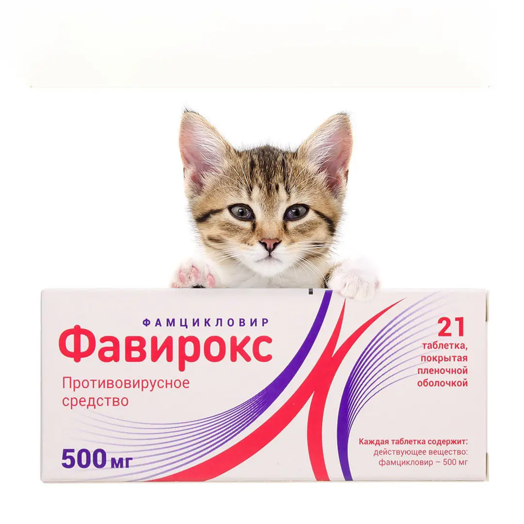 Фавирокс для кошек