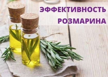 Эфирное масло розмарина показания и способы применения